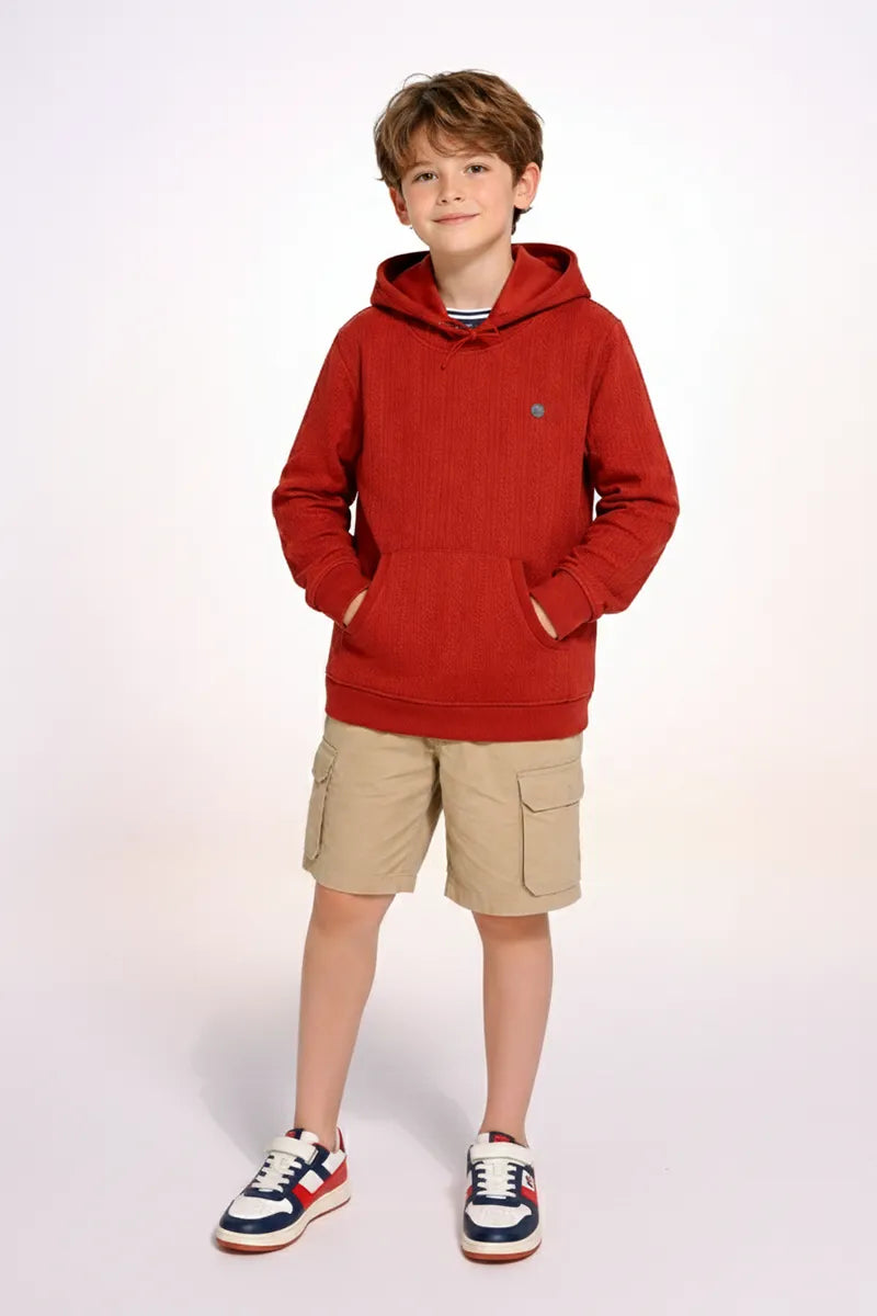 Boy's Self Design Casual Hoodie - Maroon - View 2