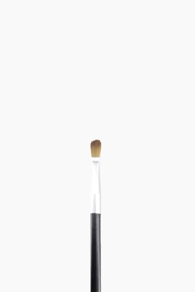 Makeup Brush and Mirror Set (Black) - Pack of 6