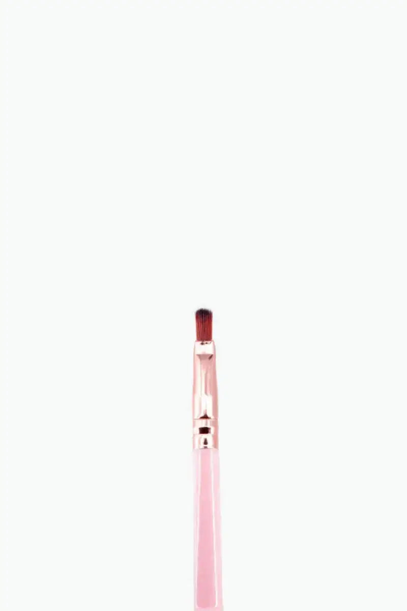 Makeup Brush Set (Pink) - Pack of 5