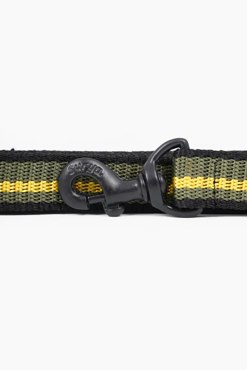 Super Chain Nylon Dog Belt & Leash Combo - Yellow & Black (Large)