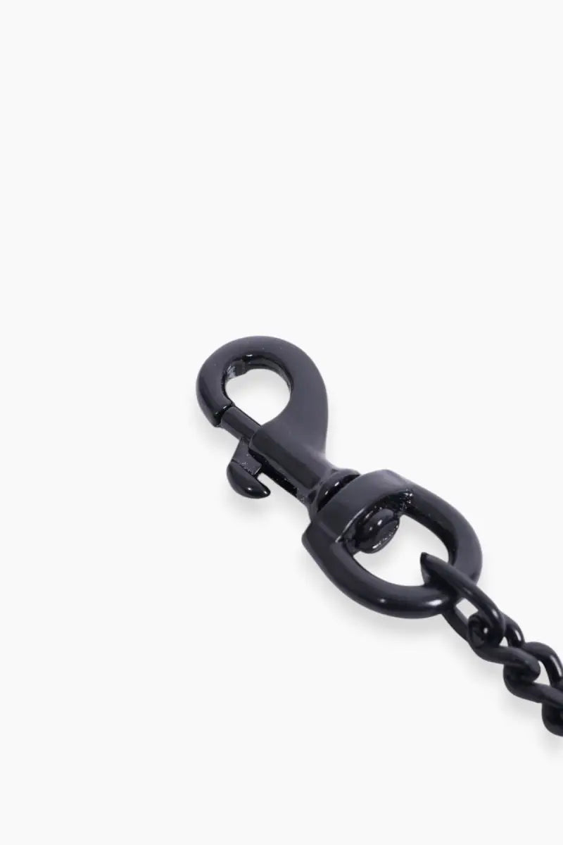 Stainless Steel Heavy Dog Leash Chain (Medium)