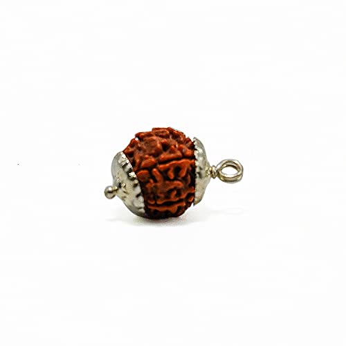 6 Mukhi Rudraksha Bead – Kartikeya Blessing Sacred Natural Rudraksha