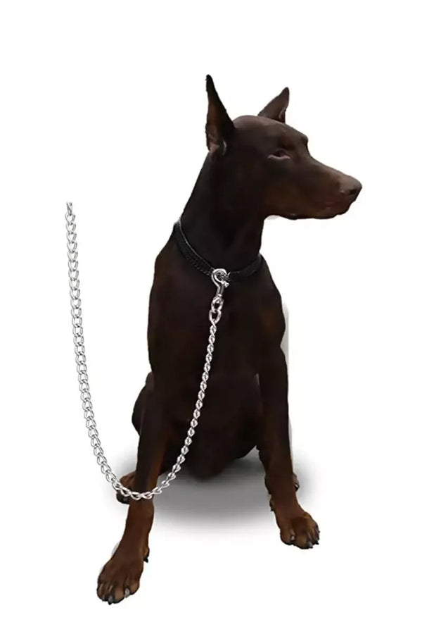 1729749597486__1729749595718__1%20%284%29