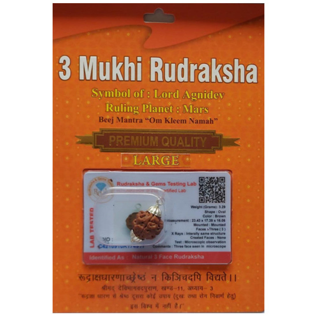 3 Mukhi Rudraksha Bead – Agnidev Blessing Natural Sacred Rudraksha
