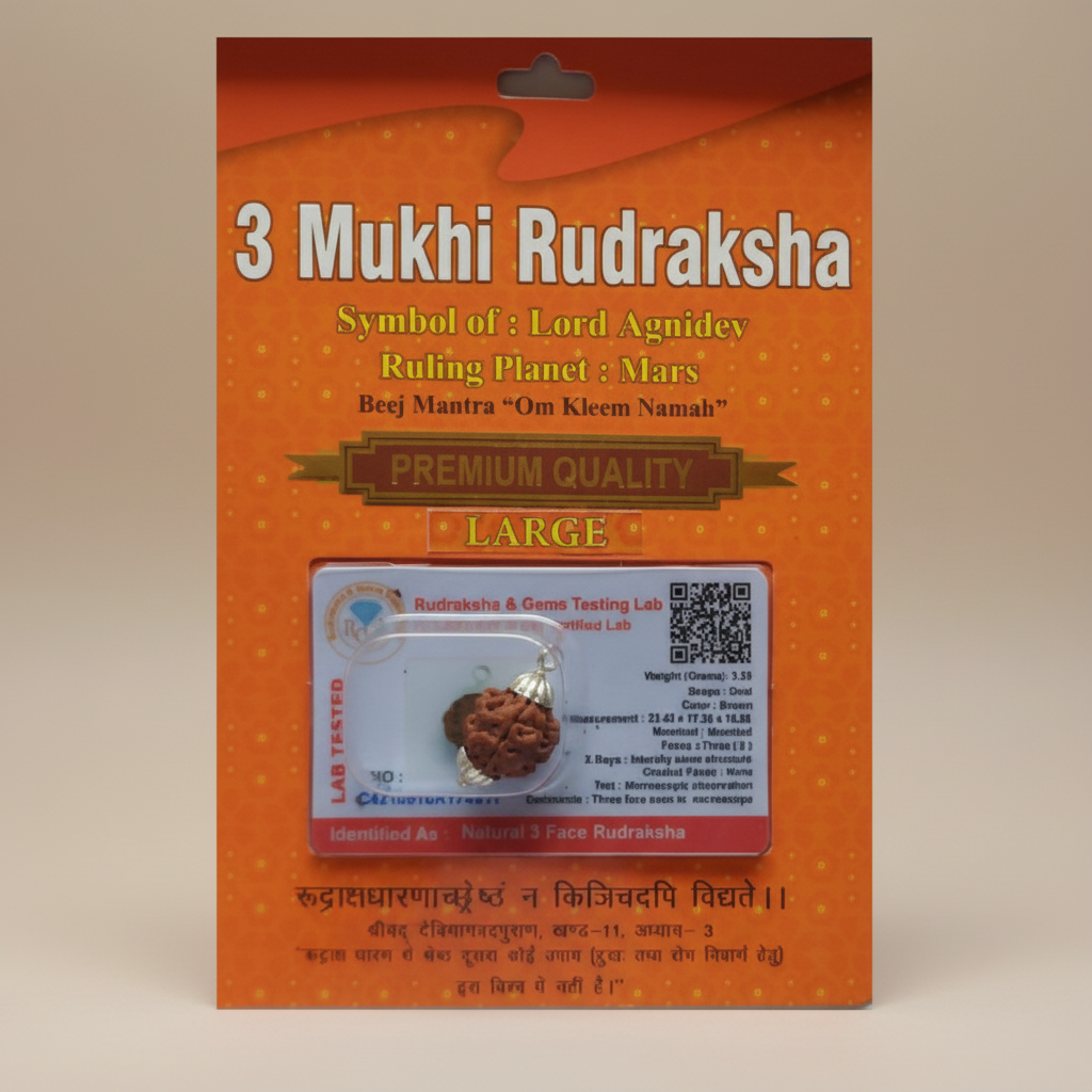 3 Mukhi Rudraksha Bead – Agnidev Blessing Natural Sacred Rudraksha