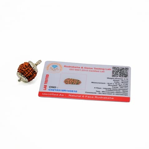 6 Mukhi Rudraksha Bead – Kartikeya Blessing Sacred Natural Rudraksha