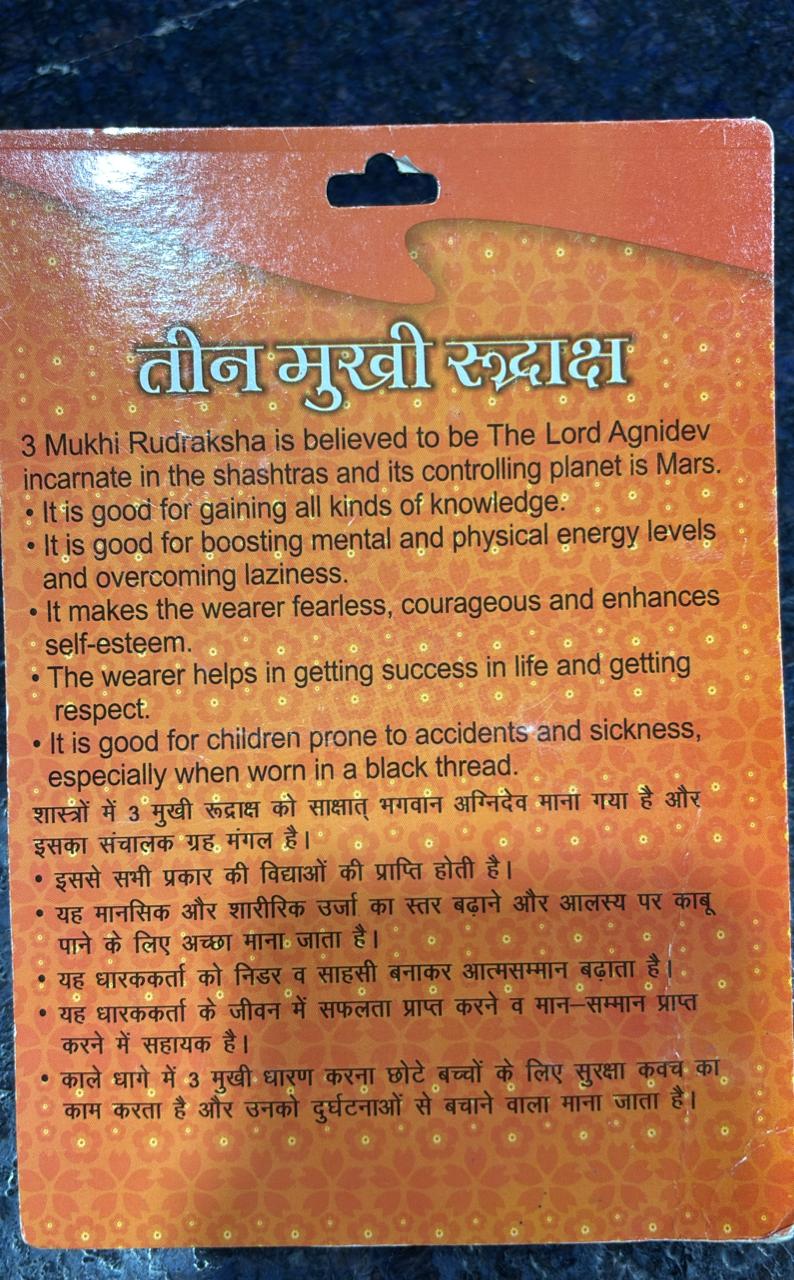 3 Mukhi Rudraksha Bead – Agnidev Blessing Natural Sacred Rudraksha