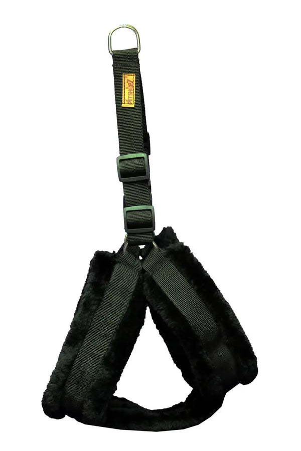 1726722651282__1726722650832__IMG_0888