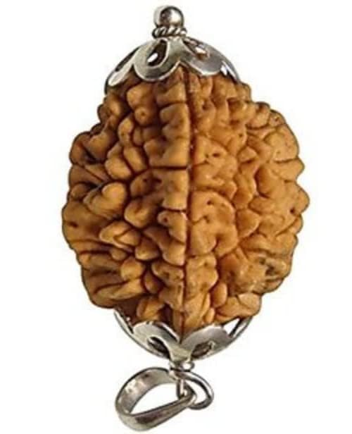 2 Mukhi Rudraksha Bead – Ardhanarishvara Blessing Sacred Natural Rudraksha