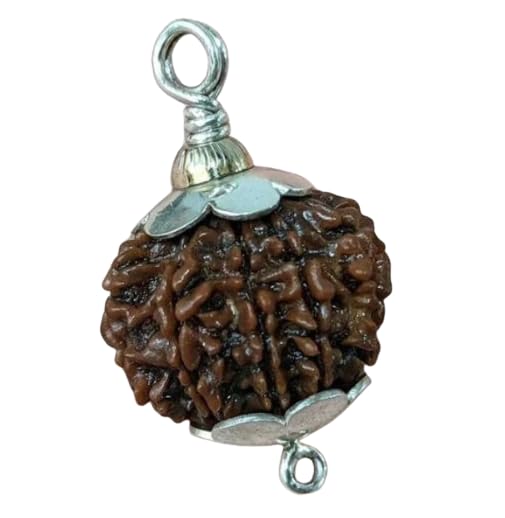 8 Mukhi Rudraksha Bead – Ganesha Blessing Sacred Natural Rudraksha