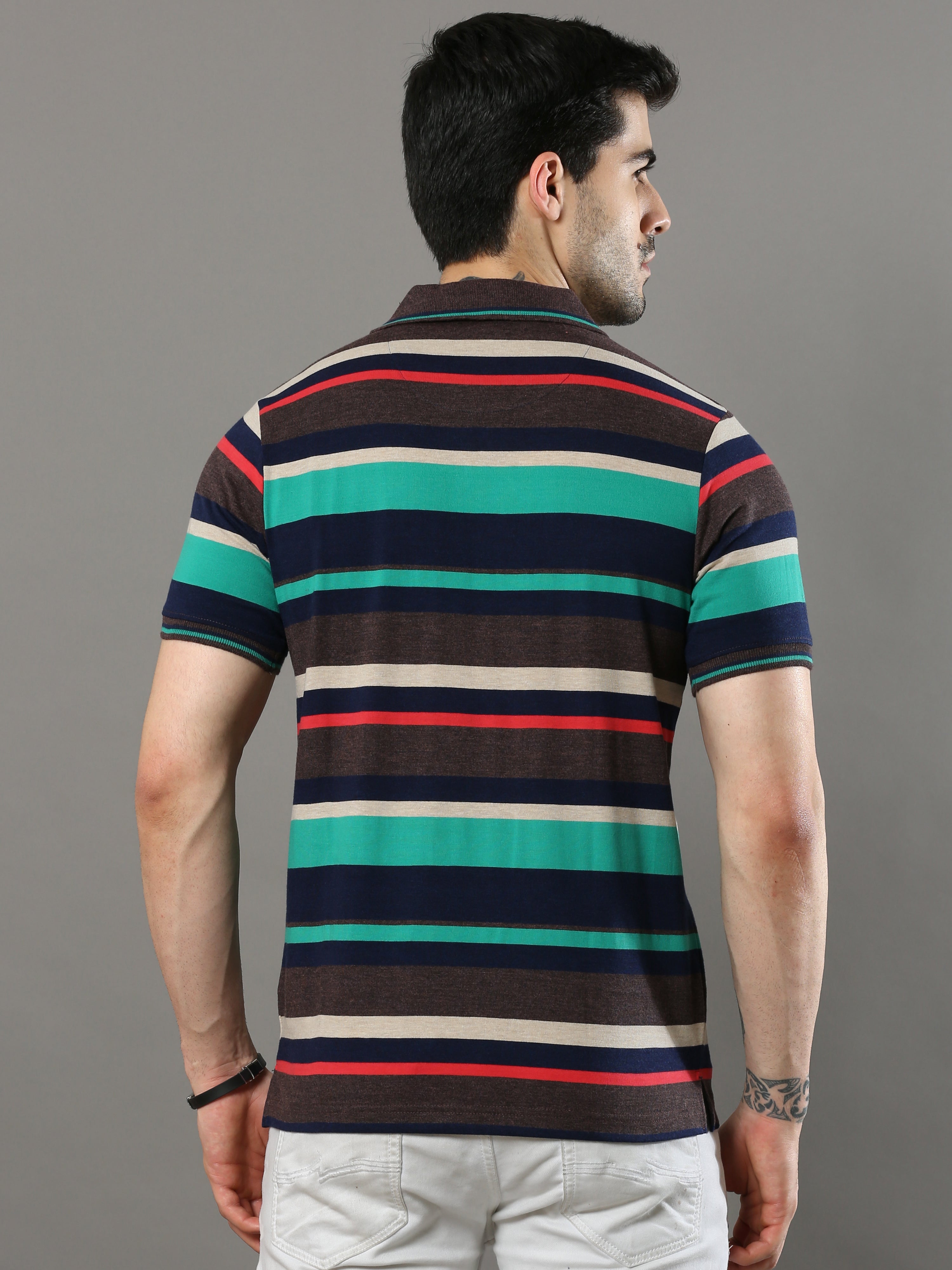 Men's Multicolors Regular Fit Stripe Half Sleeves Polo NeckT-Shirt