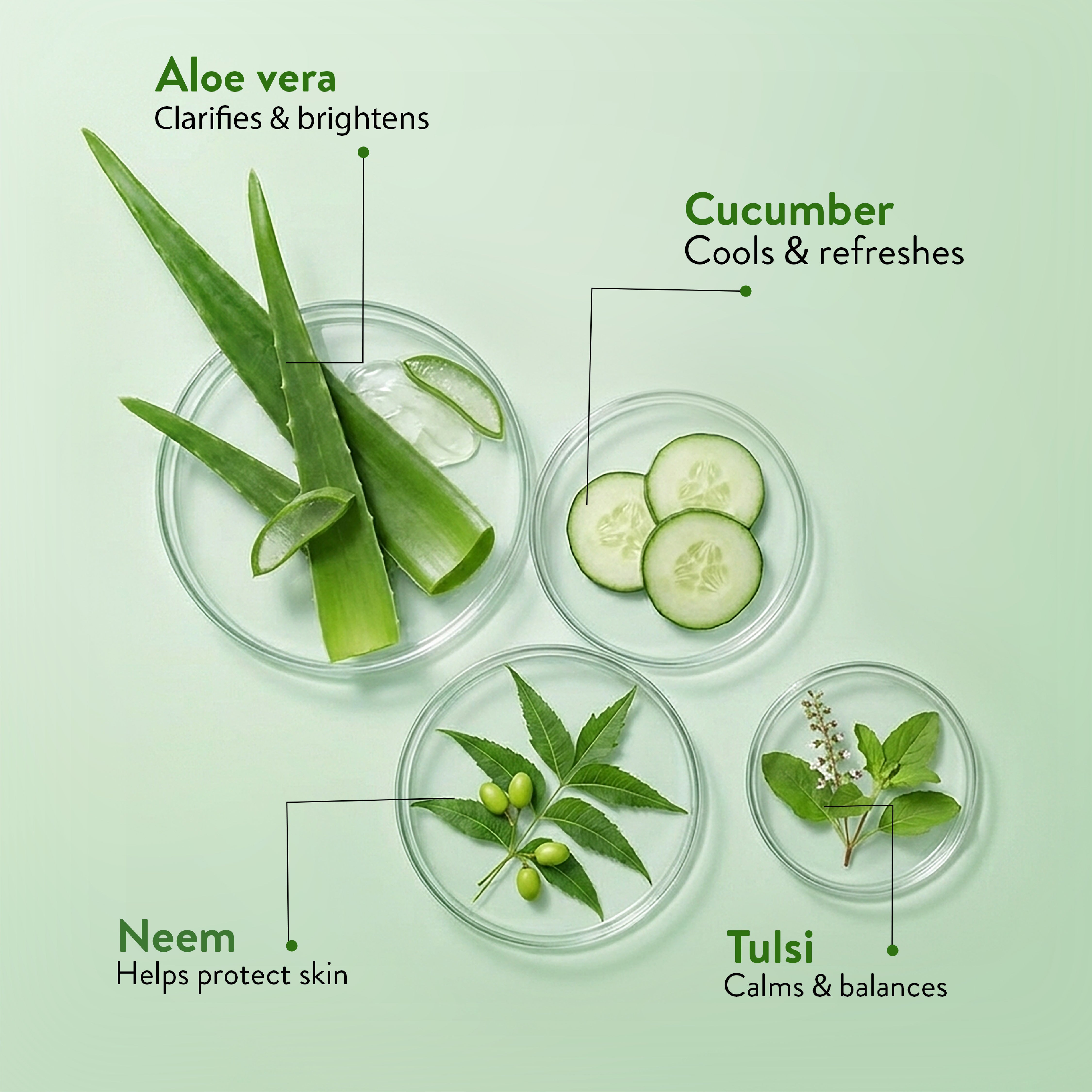 Ayouthveda Aloe Vera Gel Pack of 4 (150 gm) Aimil Ayouthveda