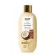 WOW Skin Science Fiji Coconut Body Lotion with Lactic Acid for Deep Moisturization and Smooth Skin for All Skin Types 200ml