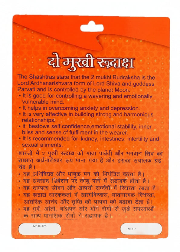 2 Mukhi Rudraksha Bead – Ardhanarishvara Blessing Sacred Natural Rudraksha
