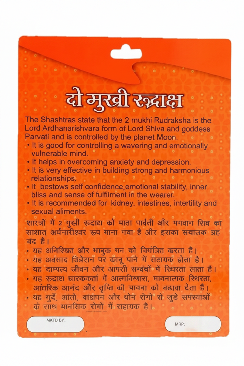 2 Mukhi Rudraksha Bead – Ardhanarishvara Blessing Sacred Natural Rudraksha
