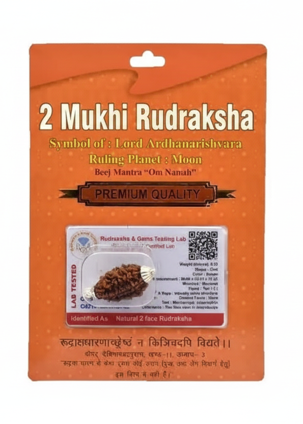 2 Mukhi Rudraksha Bead – Ardhanarishvara Blessing Sacred Natural Rudraksha
