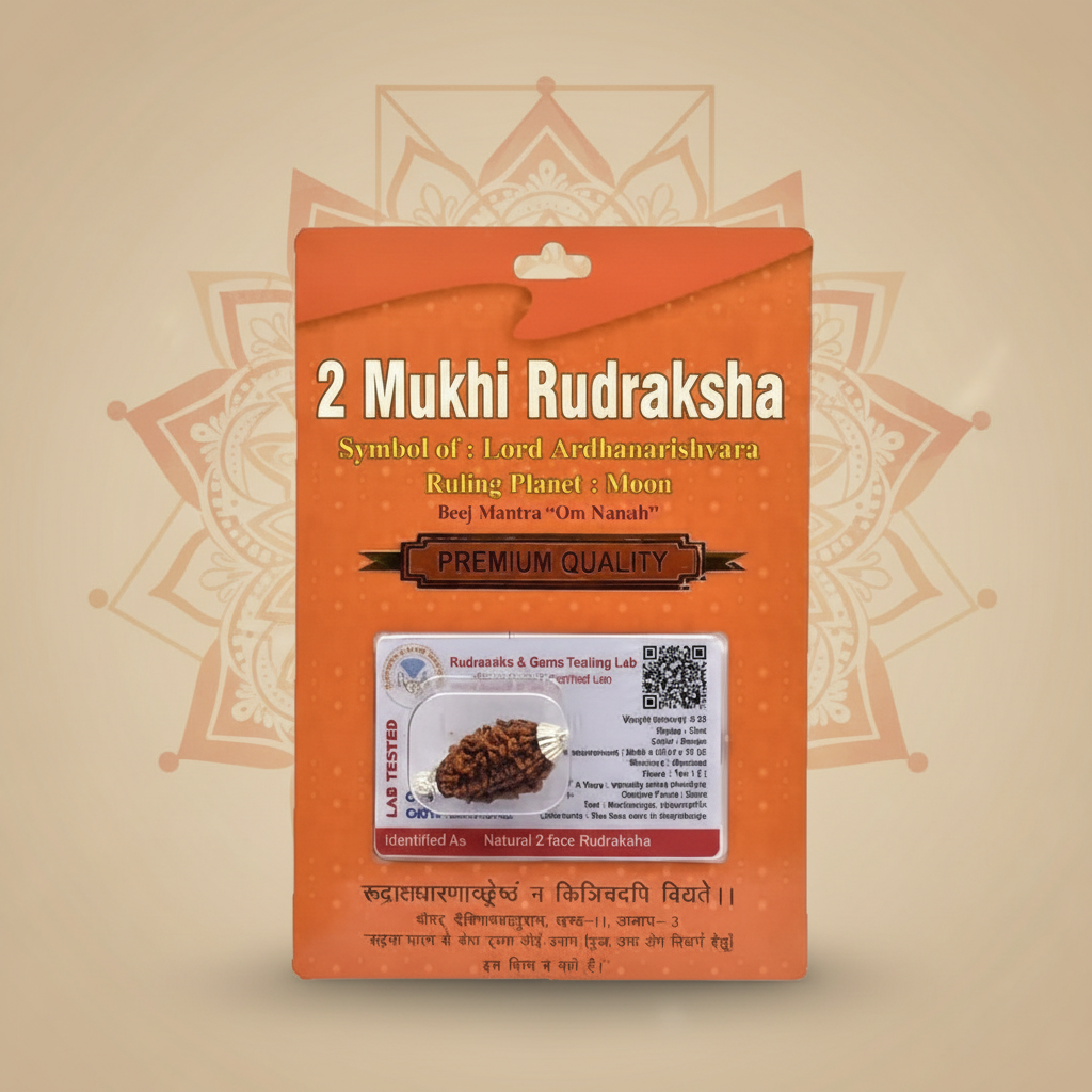 2 Mukhi Rudraksha Bead – Ardhanarishvara Blessing Sacred Natural Rudraksha