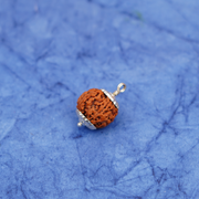5 Mukhi Rudraksha Bead – Kalagni Rudra Blessing Sacred Natural Rudraksha