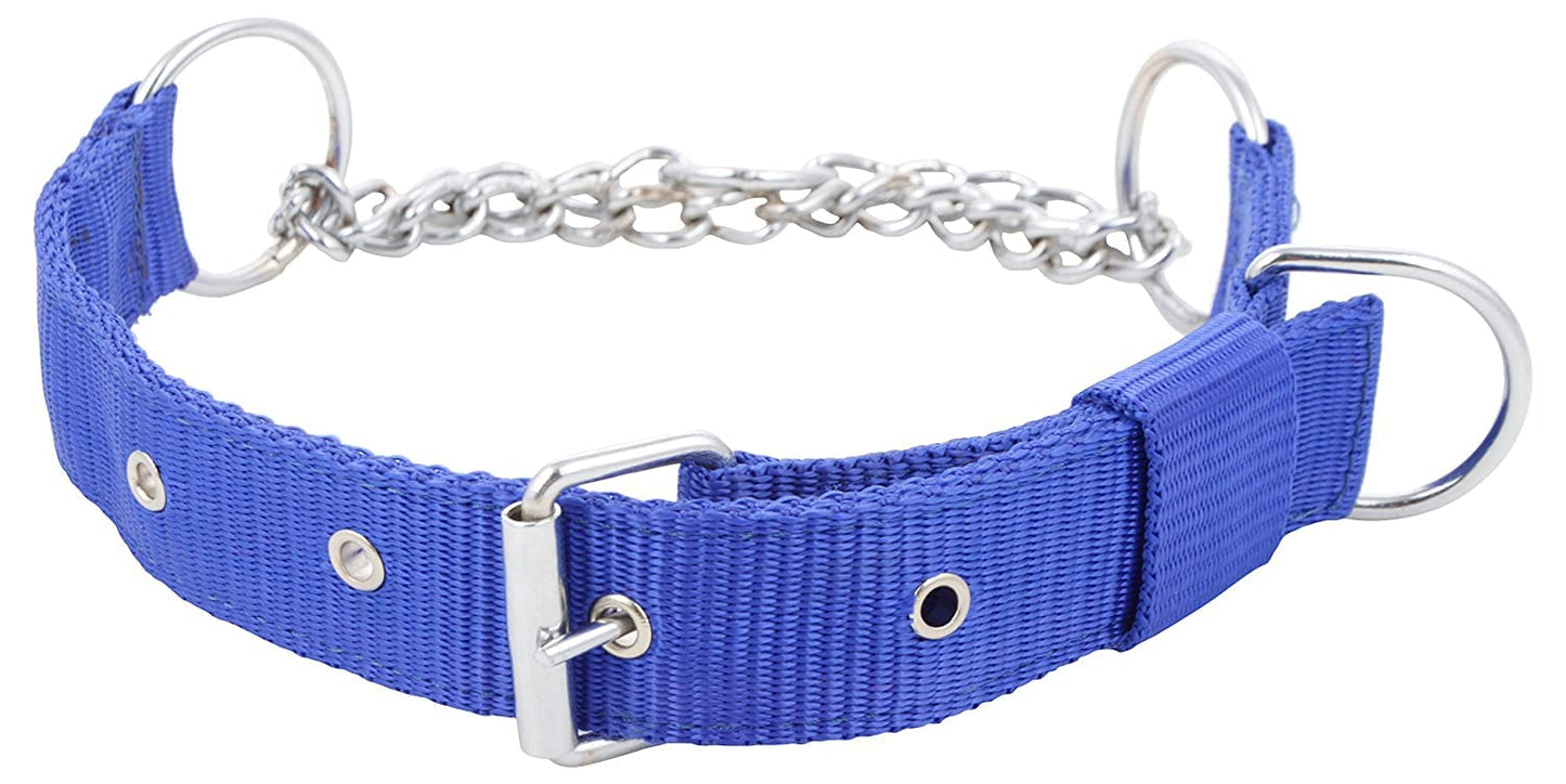 Latest Dog Collar Charms