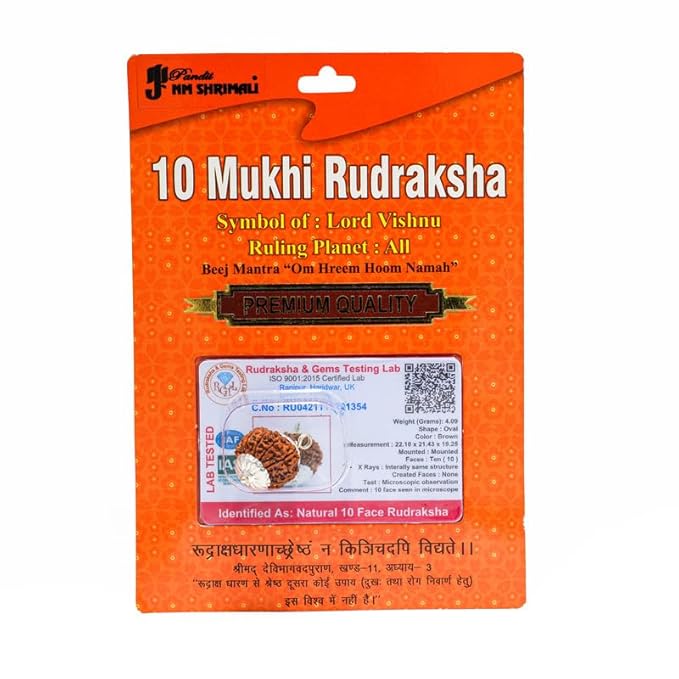 10 Mukhi Rudraksha Bead – Vishnu Blessing Sacred Natural Rudraksha