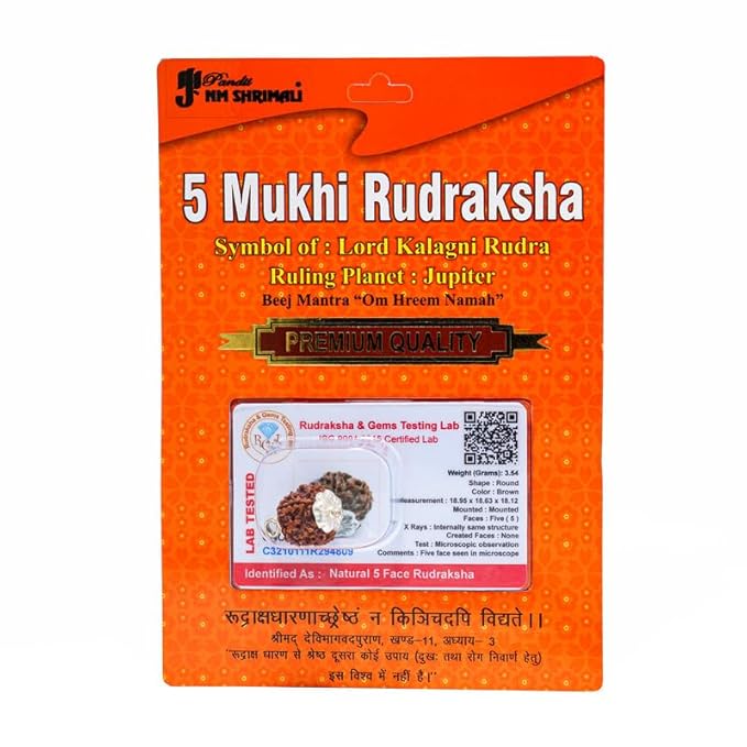 5 Mukhi Rudraksha Bead – Kalagni Rudra Blessing Sacred Natural Rudraksha