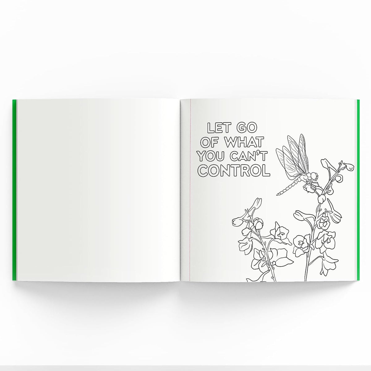 Mindfulness : Adult Coloring Book