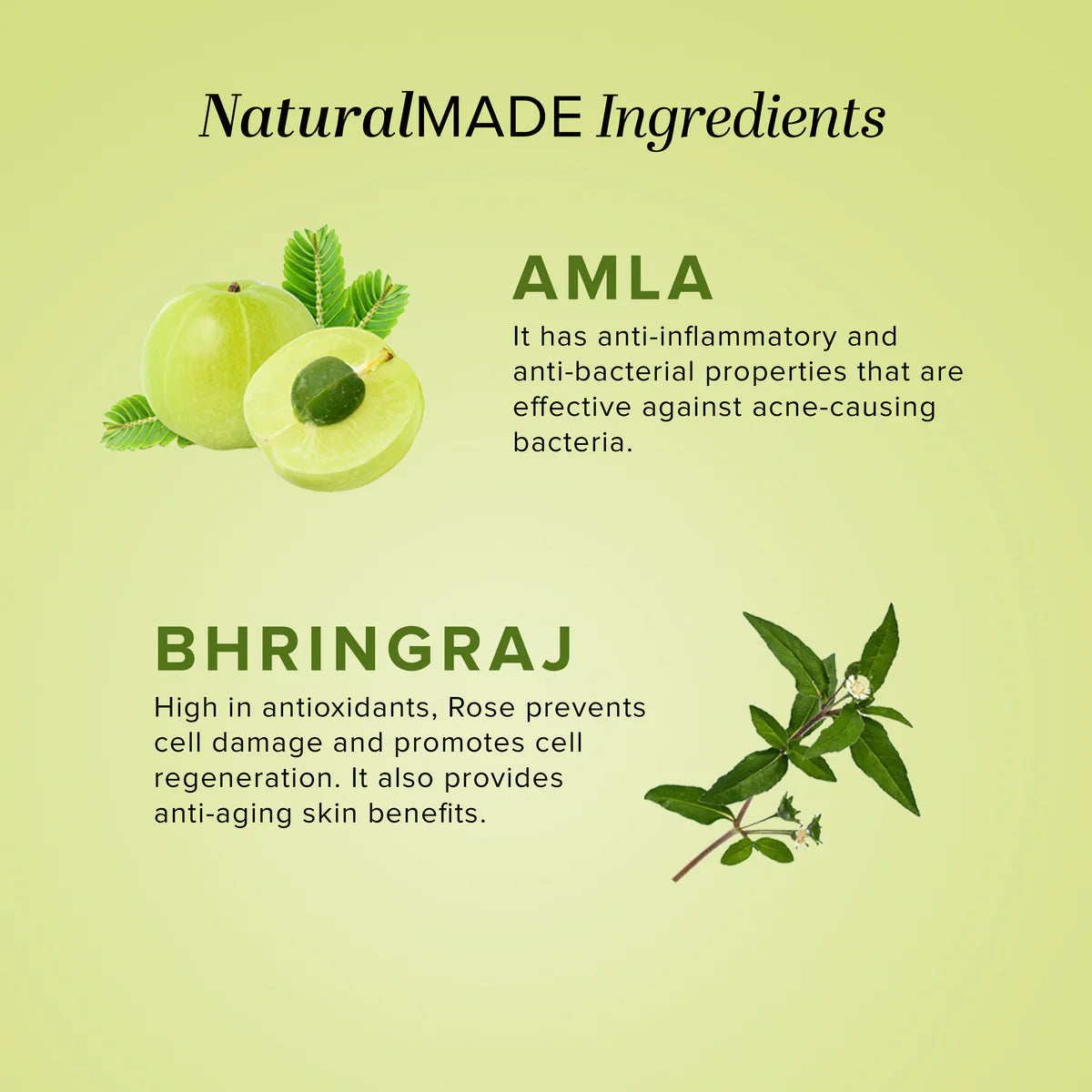 Khadi Natural Amla & Bhringraj Hair Cleanser – Herbal Shampoo for Hair Strength & Nourishment HalfPe - FW -TPT