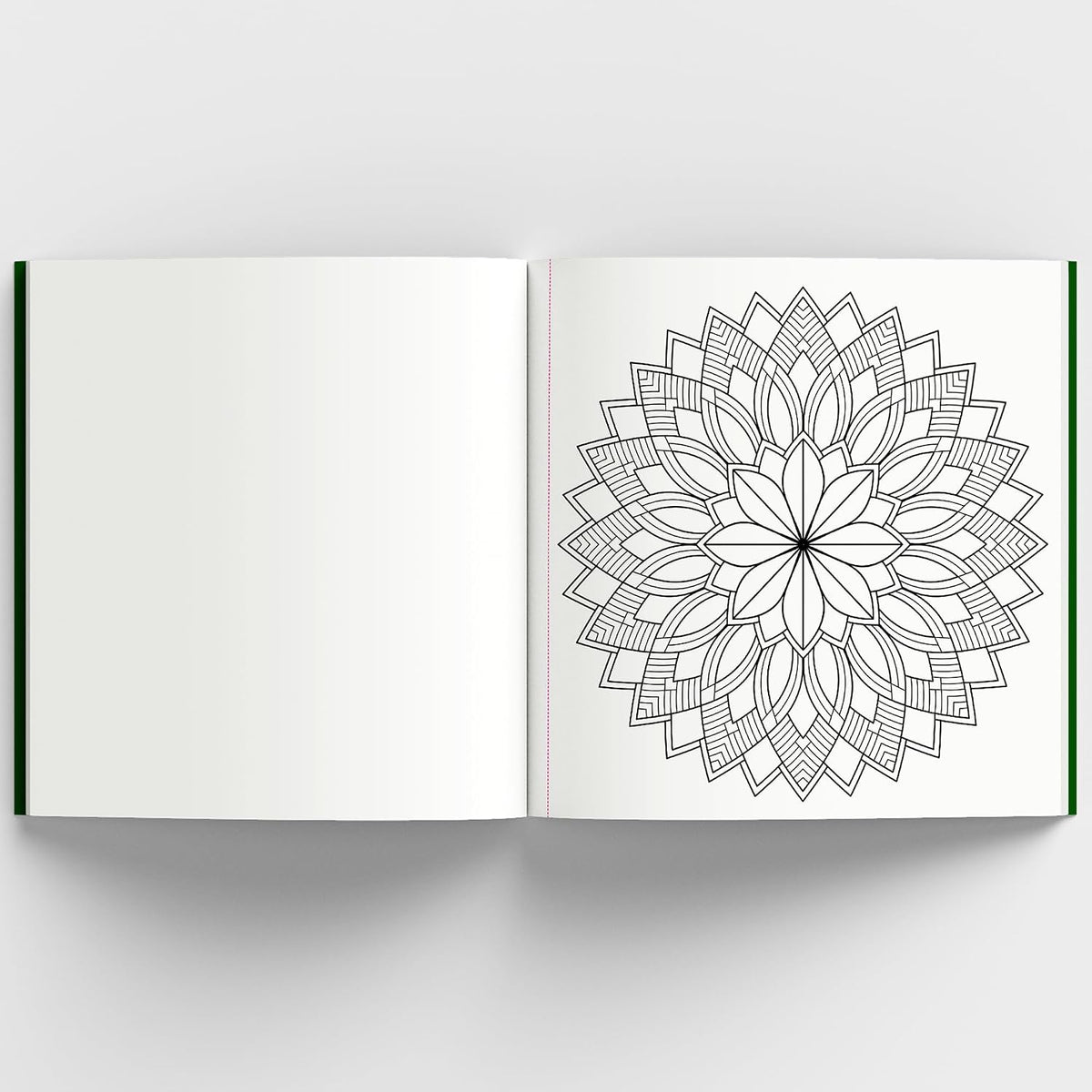 Adult Coloring Books: Meditative Mandala