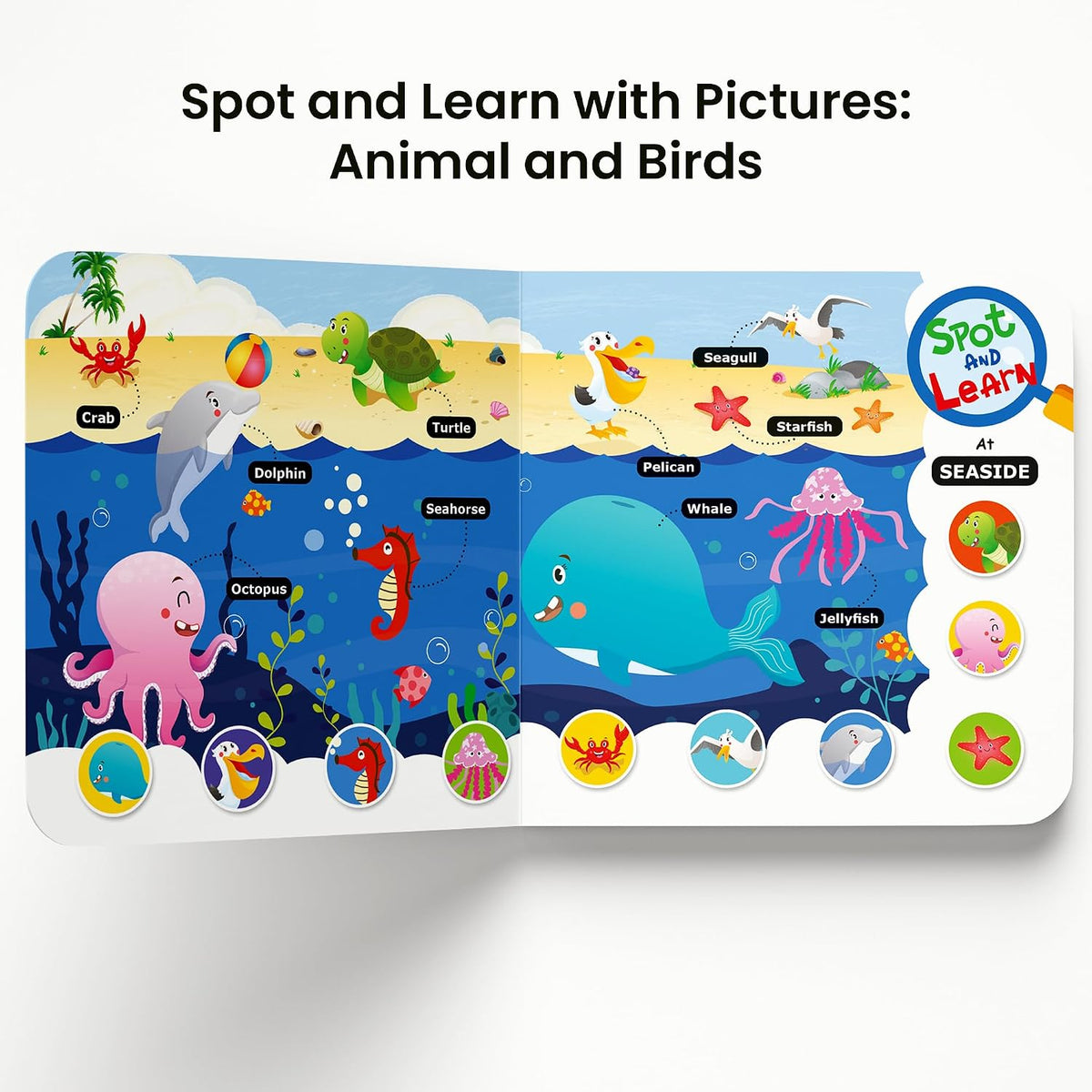 Spot and Learn with Pictures (5 Books Pi