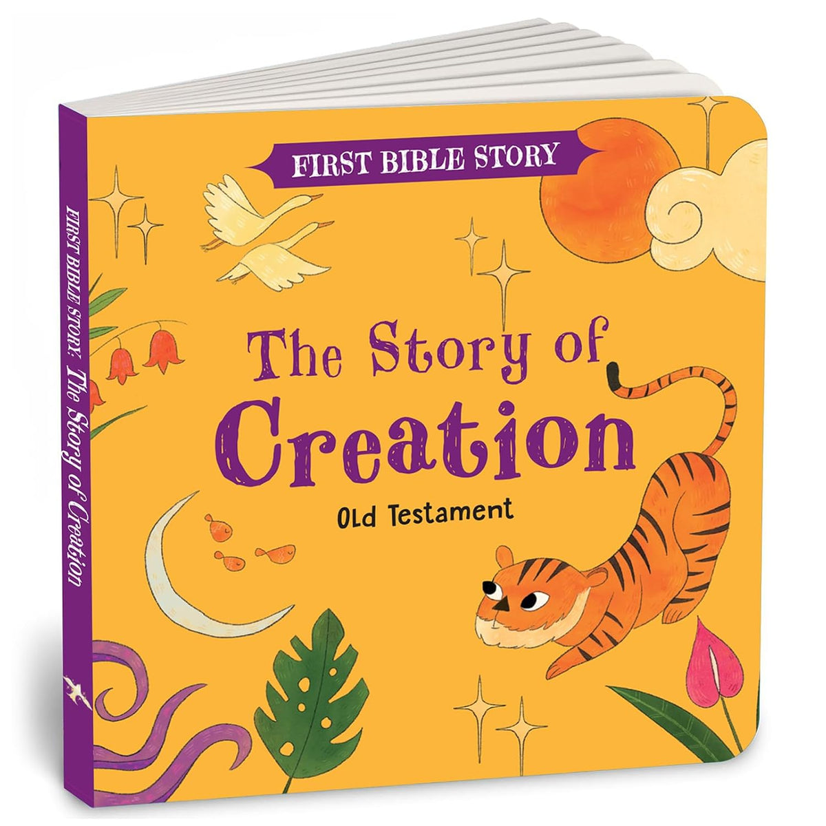 First Bible Story: The Story of Creation