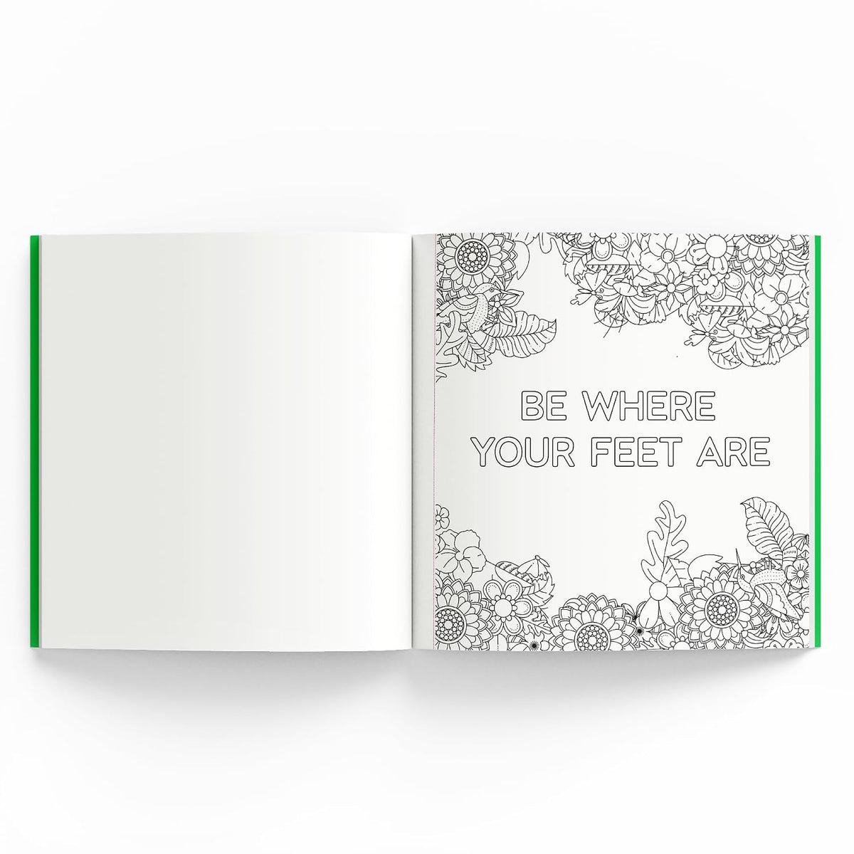 Mindfulness : Adult Coloring Book