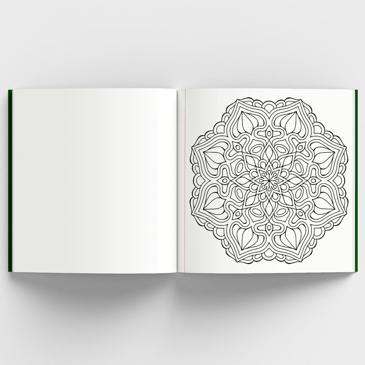 Adult Coloring Books: Meditative Mandala