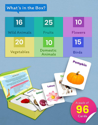 Flash Cards for Kids 2+ Years | Animals, Fruits, Birds & Vegetables - Image 2