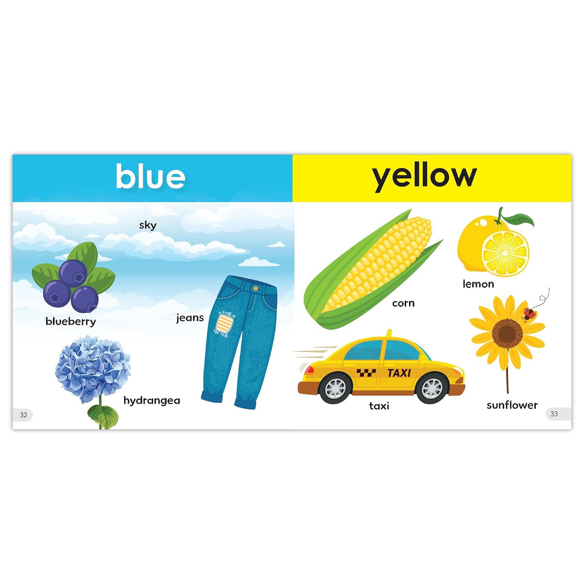 My First Preschool Concepts - Ultimate 5