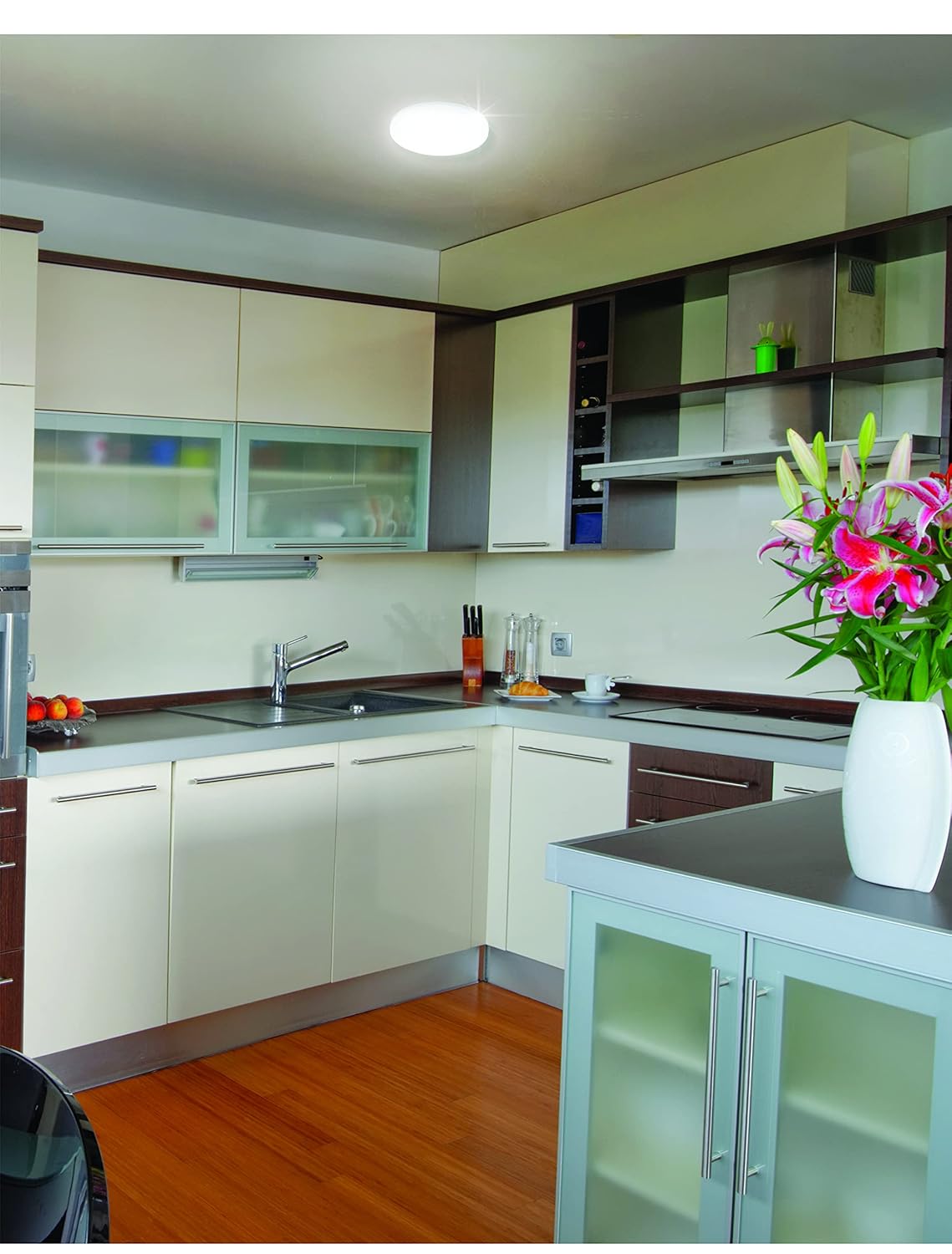 PHILIPS 12-watt Round Surface Full Glow | Surface LED Downlight for Ceiling, Cool Day Light(Pack of 1)(Polycarbonate)