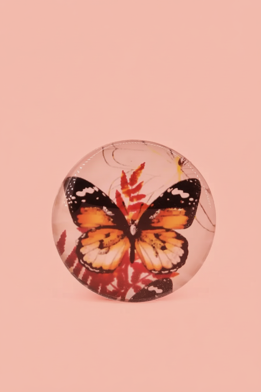 Plastic Magnetic Fridge Sticker (Butterfly Printed) - 1 Pc (Assorted colors) SUPER