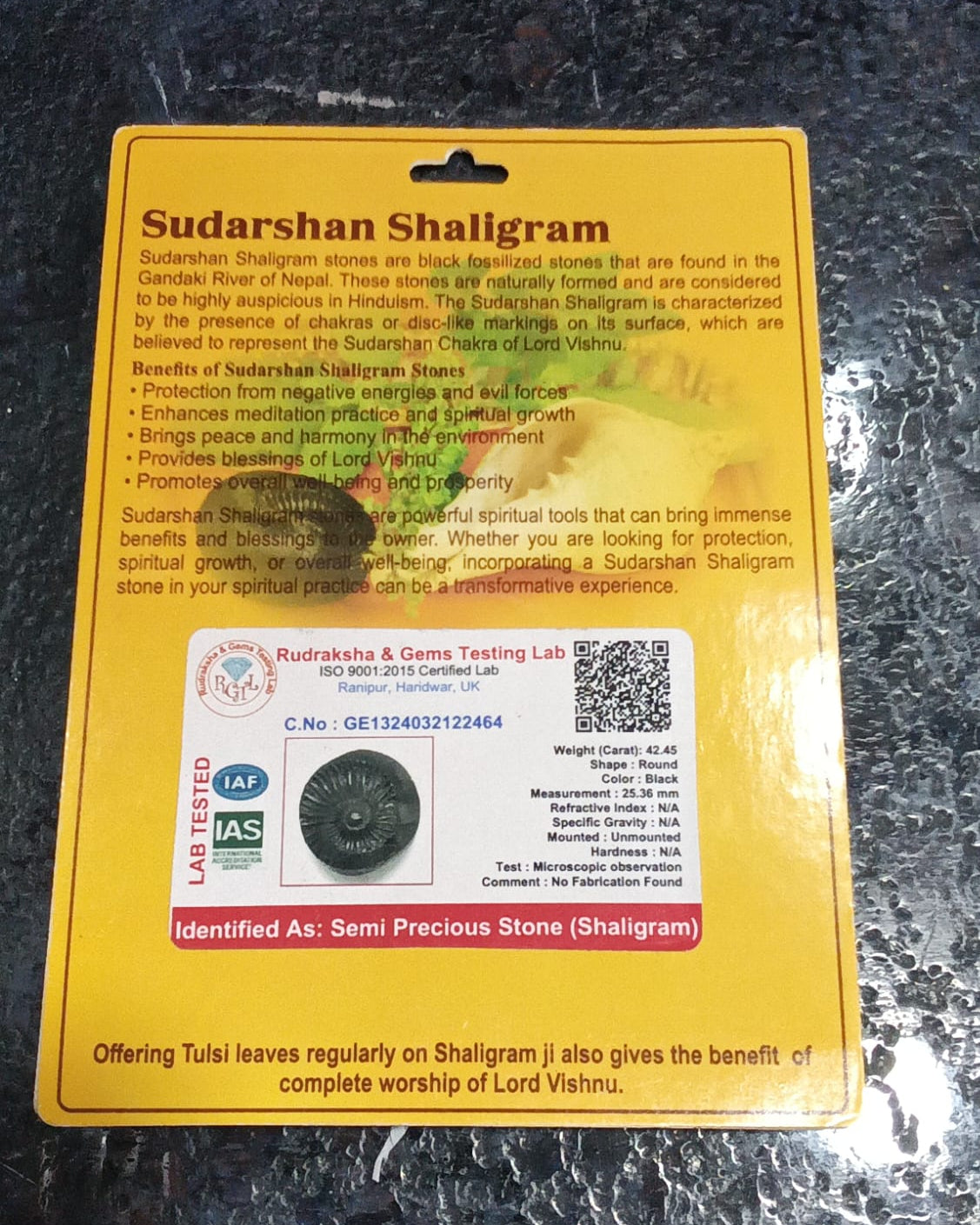 Sudarshan Shaligram – Sacred Sudarshan Chakra Salagrama Shila for Protection, Positivity & Divine Energy