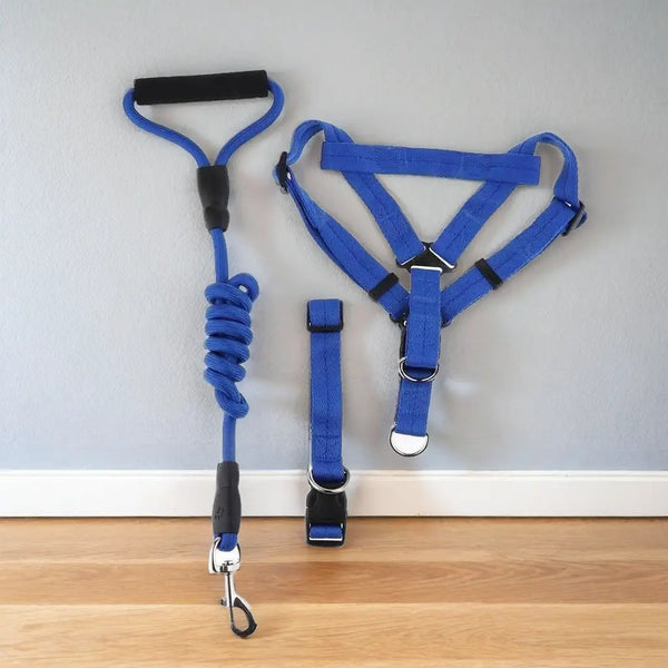 1 inch - Harness, Walking Rope and Collar belt Combo MUKUNDHATRADERS
