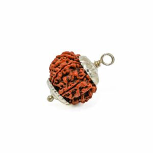 9 Mukhi Rudraksha Bead – Durga Blessing Sacred Natural Rudraksha