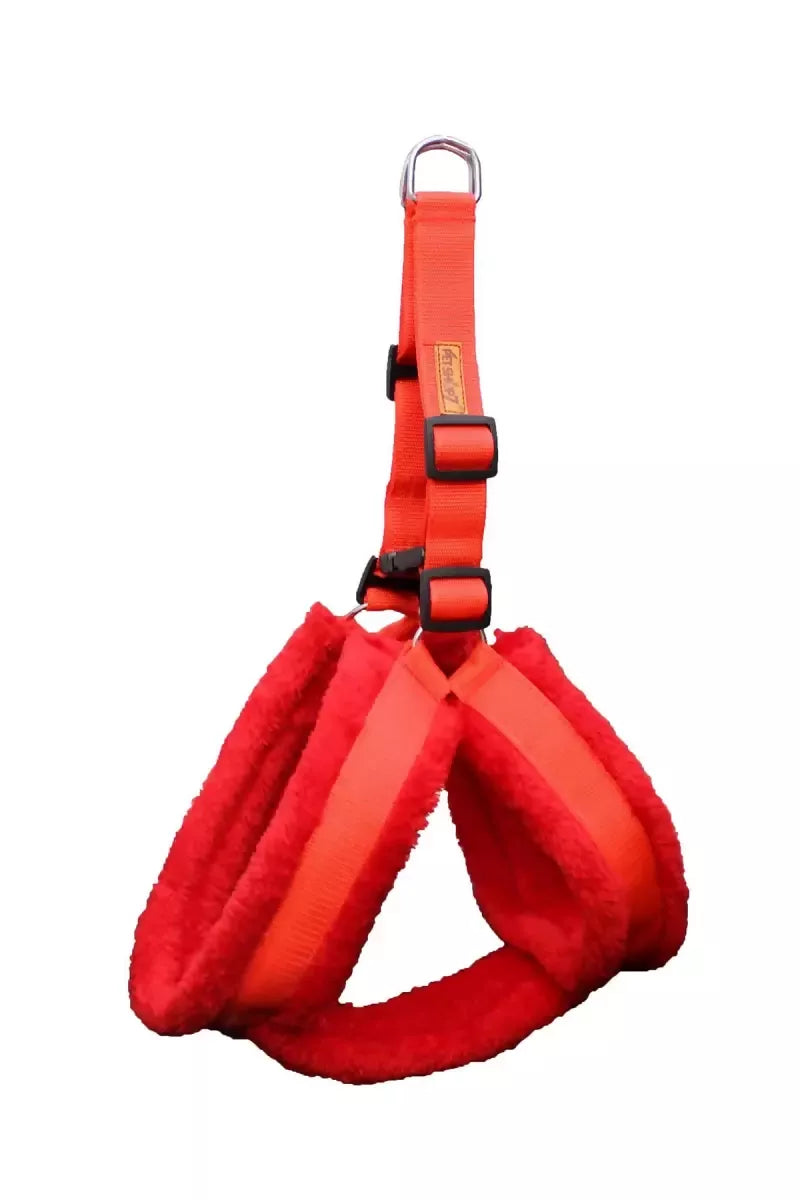 1726646564128__1726646563756__IMG_15