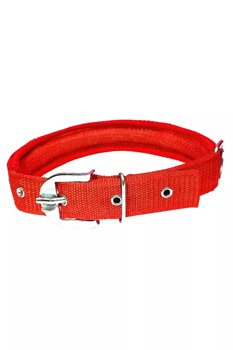 1726729570370__1726729570060__Meesh%20C%20Red%20Back