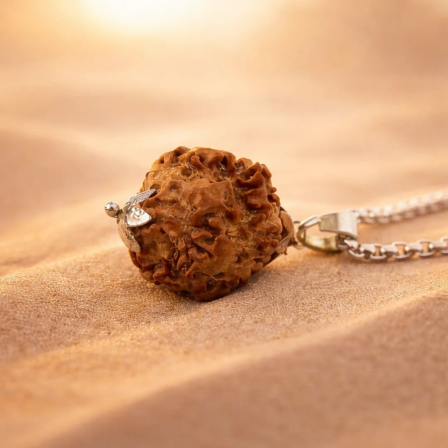 1 Mukhi Rudraksha Bead – Shiva Blessing Sacred Natural Rudraksha