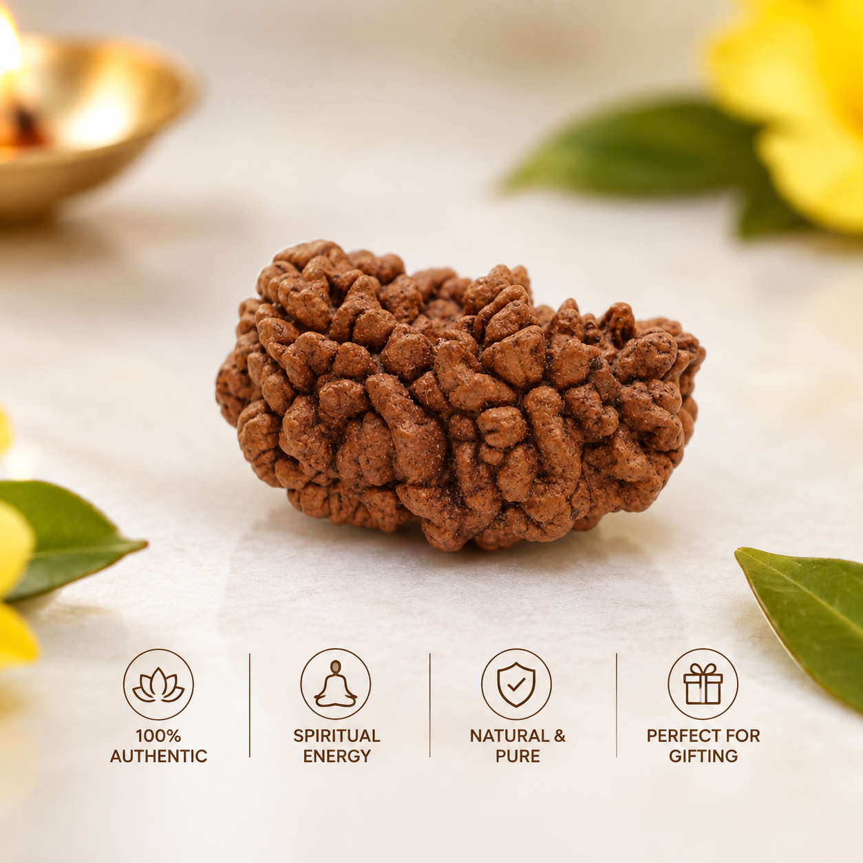1 Mukhi Rudraksha – Rare Sacred Bead for Spiritual Growth