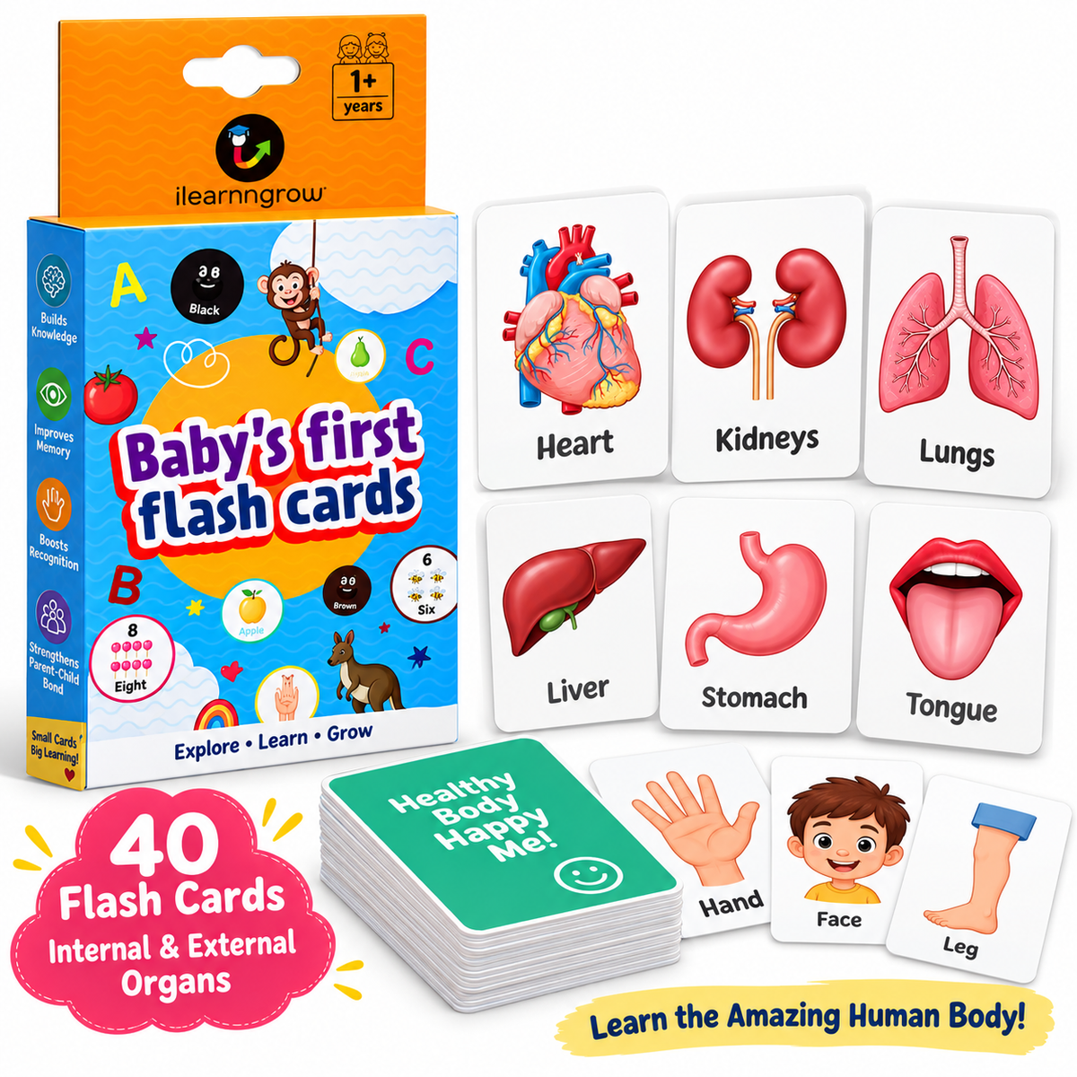 ilearnngrow Body Parts Flash Card