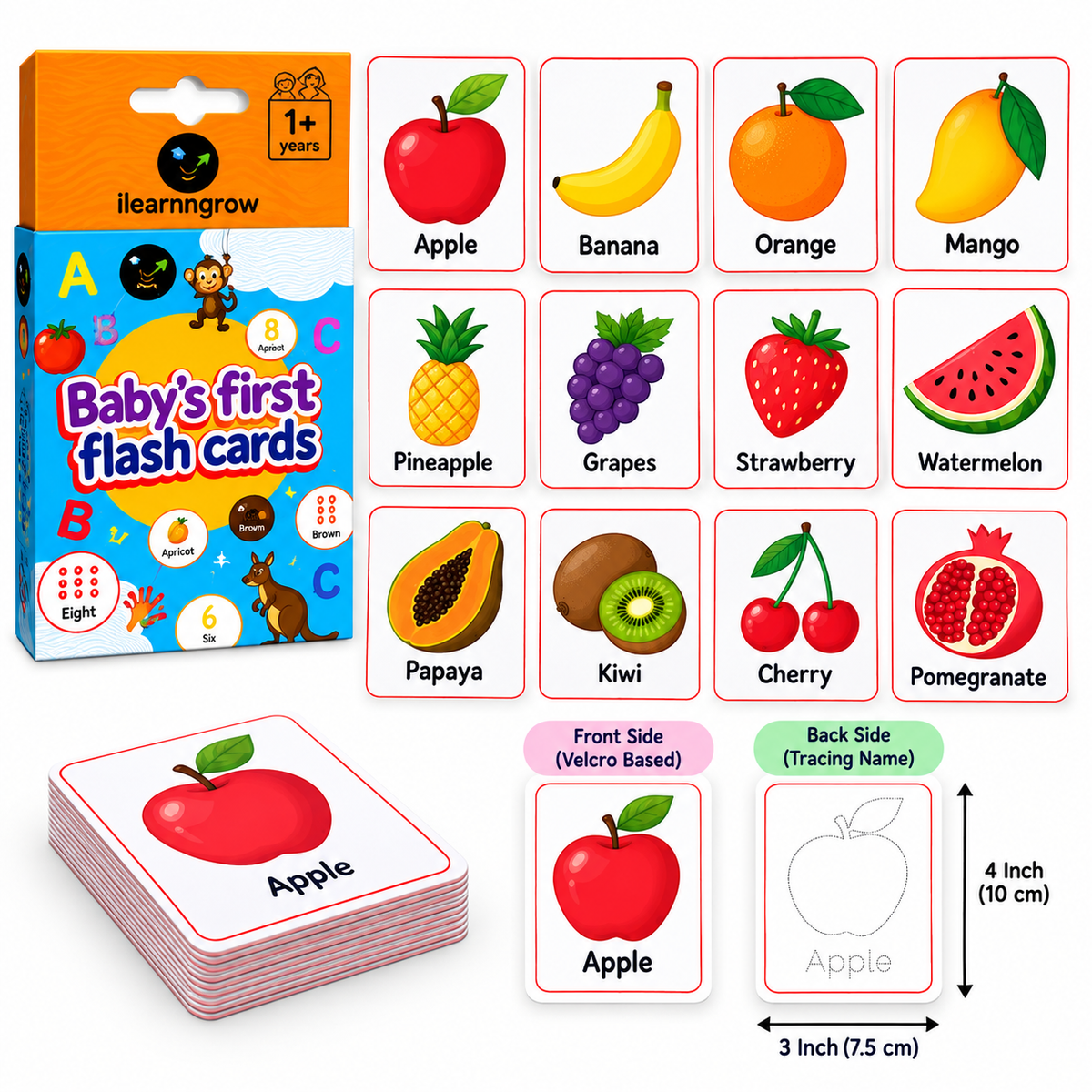 ilearnngrow Fruits Flash Card