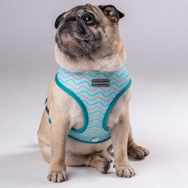 HUFT Verdant Reversible Printed Harness - Heads Up For Tails