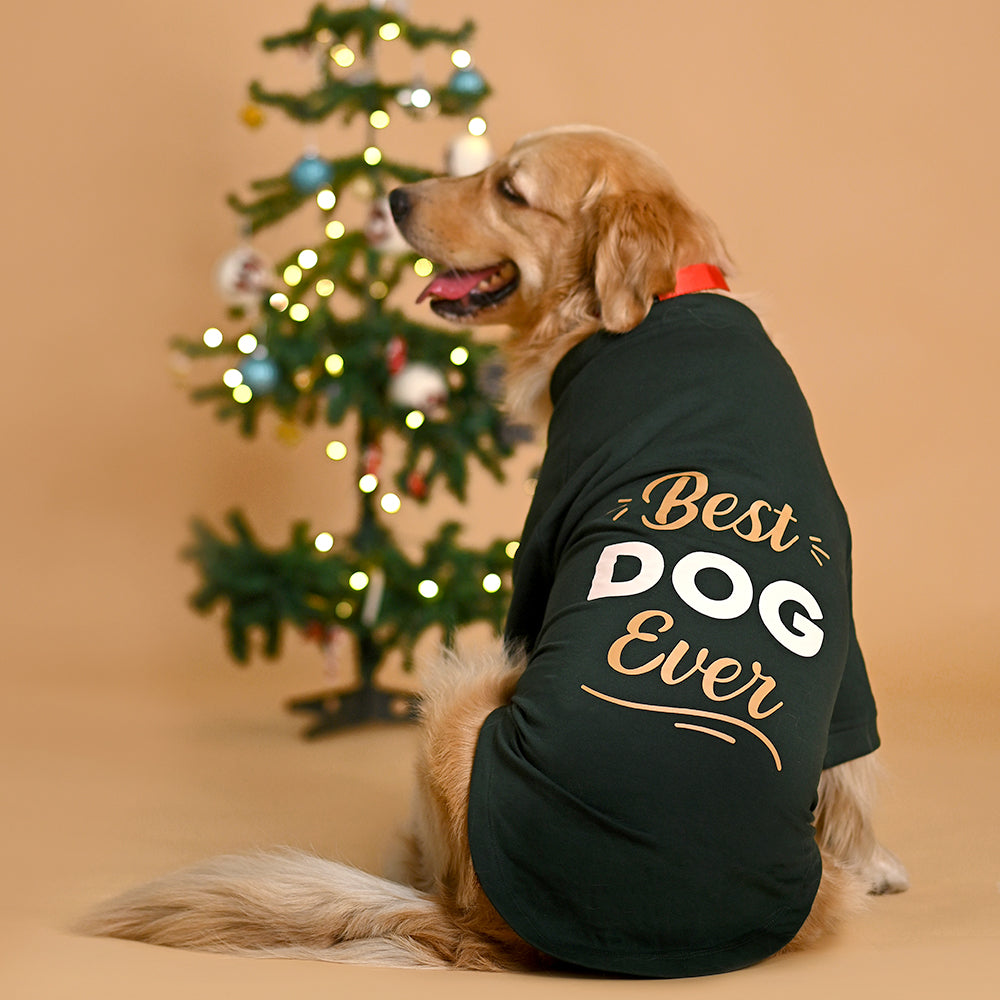 HUFT Fleece Dog Sweatshirt - Dark Green - Heads Up For Tails