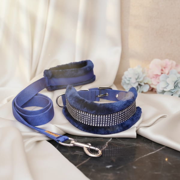 Petshop7 Dog Collar & Leash (Small)- Blue SUPER