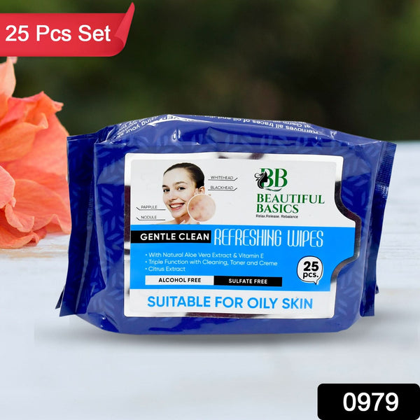Refreshing Wet Wipes For Face Facial Cleansing Refreshing Skin Hydration Soothing For Skin Ph Balance Alcohol Free Nourishing With Fruit Extract 25 Wipes