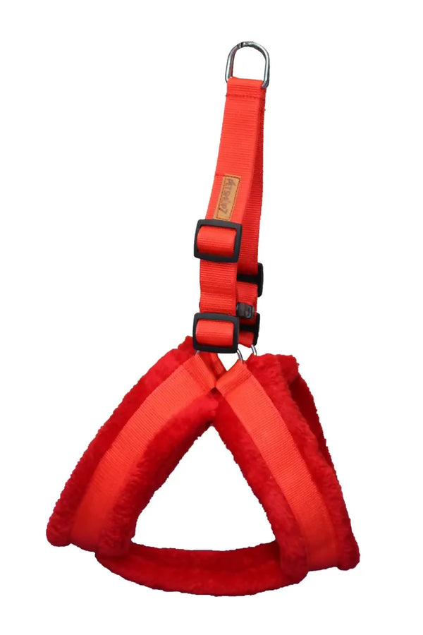 1726646543945__1726646543465__IMG_0909